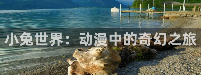 我开动物园那些年风车动漫
