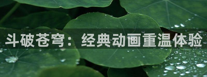 风车动漫正版官网入口