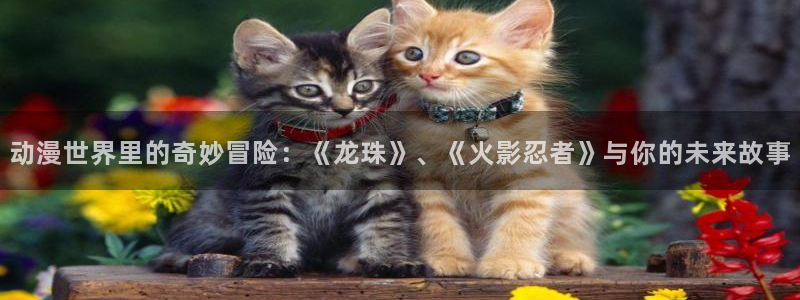 樱花动漫风车动漫专注动漫的门户：动漫世界里的奇妙冒险：《龙珠》、《火影忍者》与你的未来故事