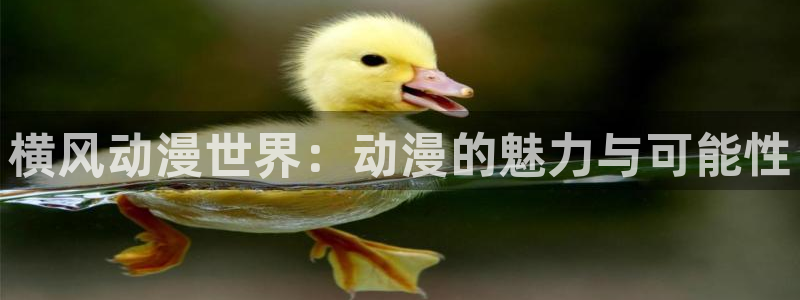 风车动漫网手机版在线