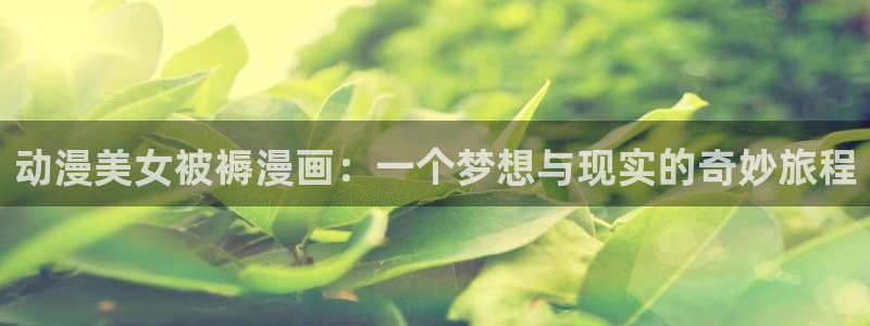 风车动漫官方：动漫美女被褥漫画：一个梦想与现实的奇妙旅程