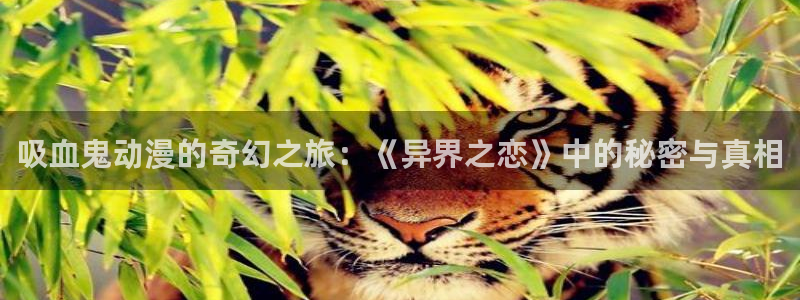 风车动漫-专注做最好的动漫：吸血鬼动漫的奇幻之旅：《异界之恋》中的秘密与真相