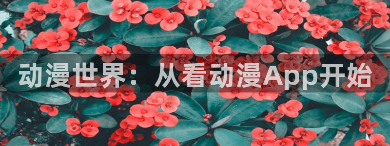 风车动漫p_高清：动漫世界：从看动漫App开始