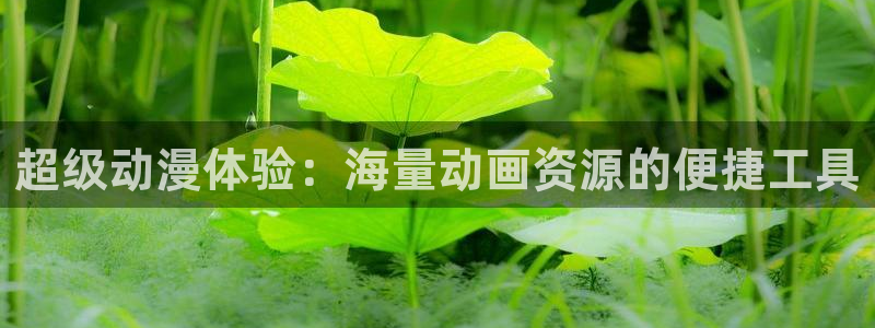 樱花风车动漫下载：超级动漫体验：海量动画资源的便捷工具