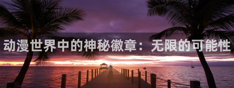 风车动漫高清：动漫世界中的神秘徽章：无限的可能性