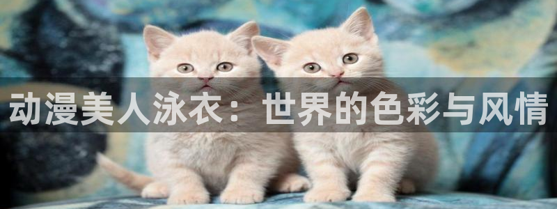 风车动漫专注动漫的官方门户网：动漫美人泳衣：世界的色彩与风情