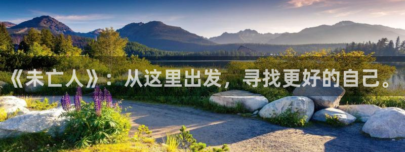 风车动漫无颜之月：《未亡人》：从这里出发，寻找更好的自己。