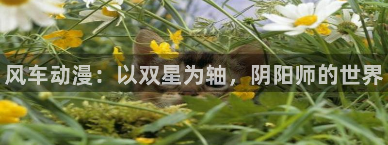 夜勤病栋在线观看风车动漫：风车动漫：以双星为轴，阴阳师的世界