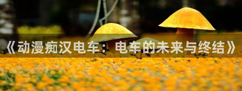 风车动漫应用