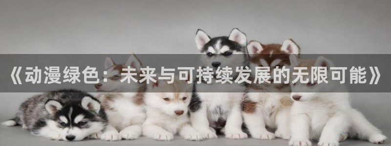 风车动漫pan