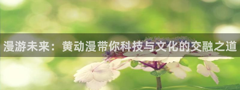 哑舍风车动漫：漫游未来：黄动漫带你科技与文化的交融之道