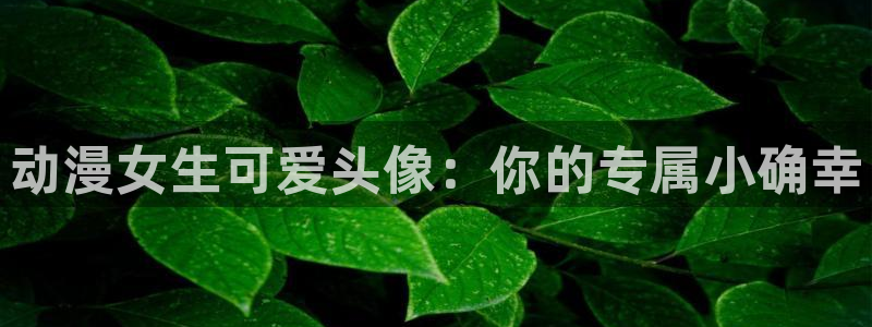 风车动漫应用