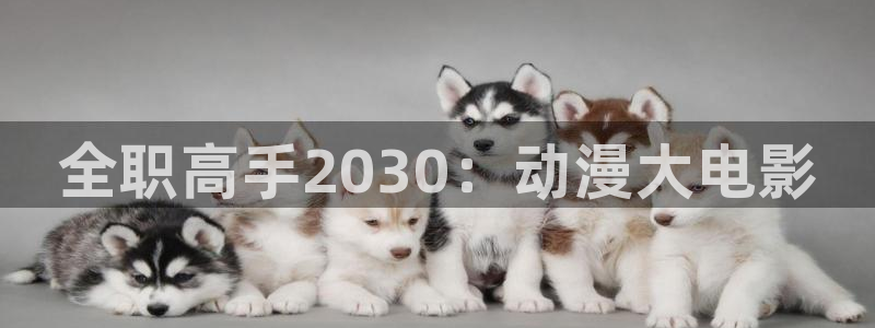 风车动漫网专注做最好的动漫门户：全职高手2030：动漫大电影