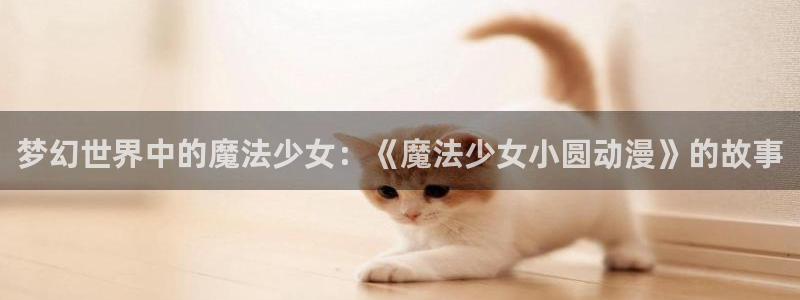 风车动漫在线观看下载：梦幻世界中的魔法少女：《魔法少女小圆动漫》的故事
