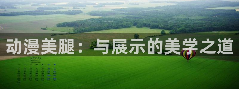 风车动漫网专注做动漫的门户网站：动漫美腿：与展示的美学之道
