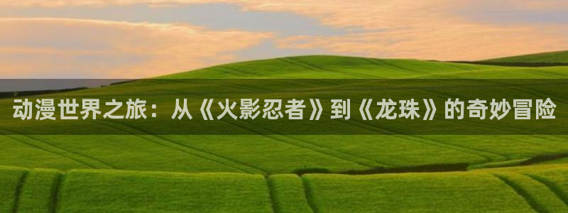 another风车动漫：动漫世界之旅：从《火影忍者》到《龙珠》的奇妙冒险
