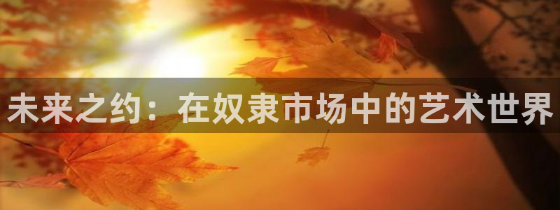风车动漫6：未来之约：在奴隶市场中的艺术世界
