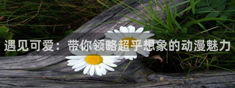 下风车动漫：遇见可爱：带你领略超乎想象的动漫魅力