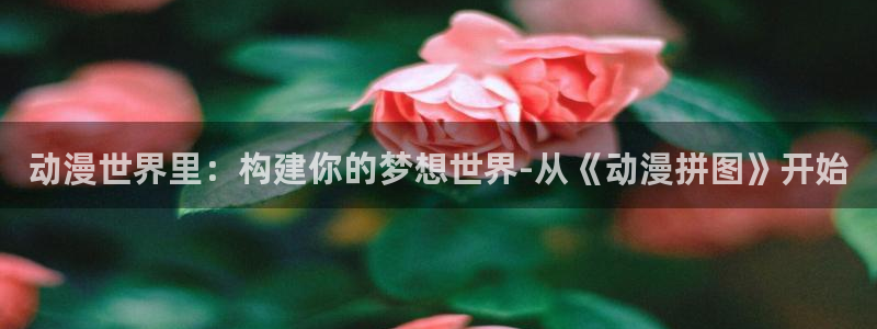 风车动漫xl上司：动漫世界里：构建你的梦想世界-从《动漫拼图》开始