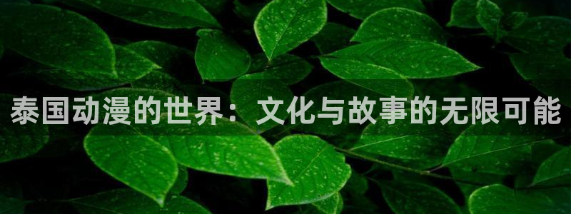 风车动漫网动漫在线观看：泰国动漫的世界：文化与故事的无限可能