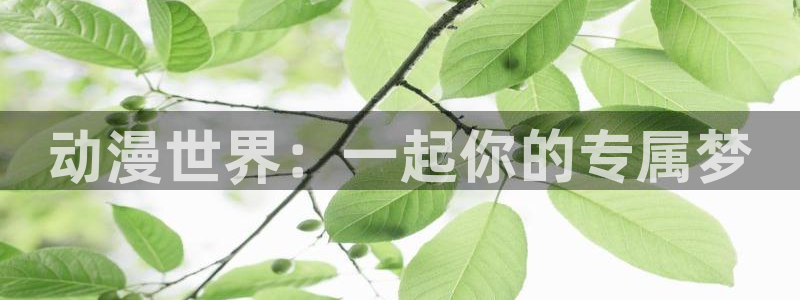 风车动漫网址首页：动漫世界：一起你的专属梦