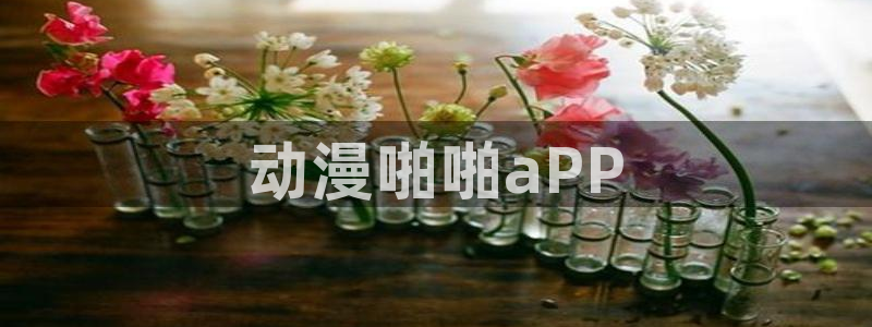 风车动漫网站官网在线观看：动漫啪啪aPP