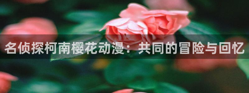 地狱之歌ova无删减风车动漫：名侦探柯南樱花动漫：共同的冒险与回忆