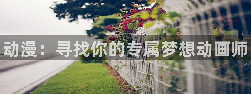 风车动漫官网p：动漫：寻找你的专属梦想动画师