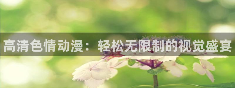 风车动漫的官网：高清色情动漫：轻松无限制的视觉盛宴