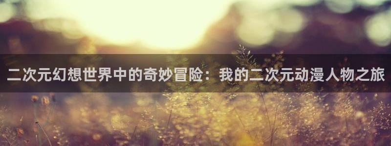 风车动漫(p)-专注动漫的门户网站官网：二次元幻想世界中的奇妙冒险：我的二次元动漫人物之旅