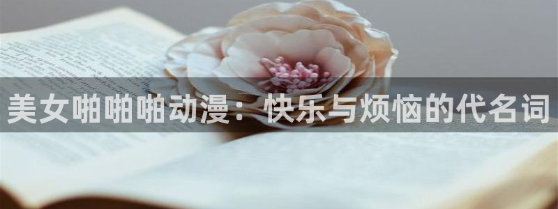 风车动漫网站