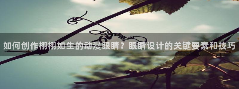 风车动漫5
