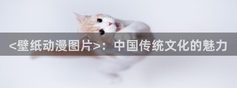 风车动漫0：<壁纸动漫图片>：中国传统文化的魅力