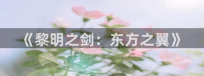 风车动漫最新版官网：《黎明之剑：东方之翼》