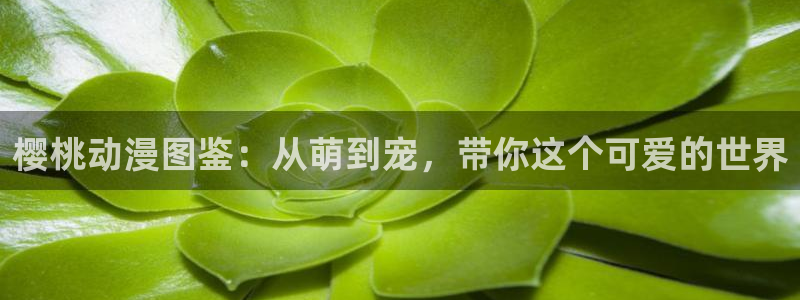 风车动漫最新网址：樱桃动漫图鉴：从萌到宠，带你这个可爱的世界