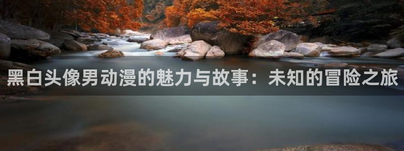 幸福花园风车动漫：黑白头像男动漫的魅力与故事：未知的冒险之旅