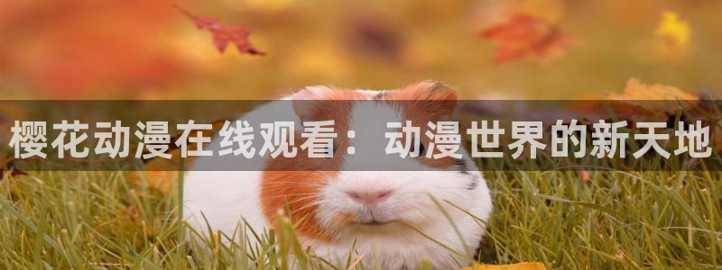 风车动漫530w：樱花动漫在线观看：动漫世界的新天地