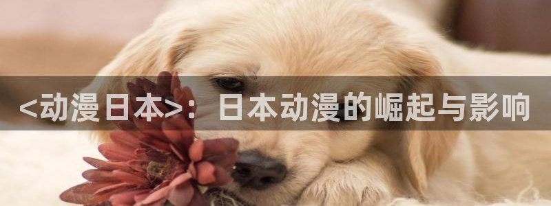 风车动漫高清在线网：<动漫日本>：日本动漫的崛起与影响
