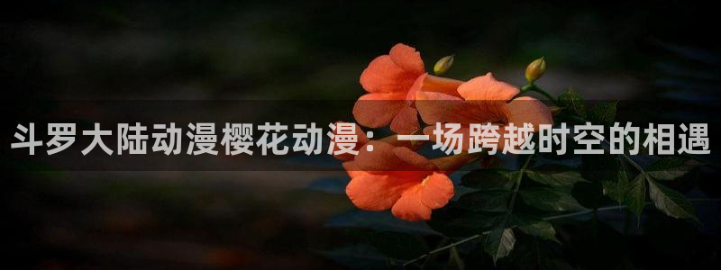 漫风车动漫