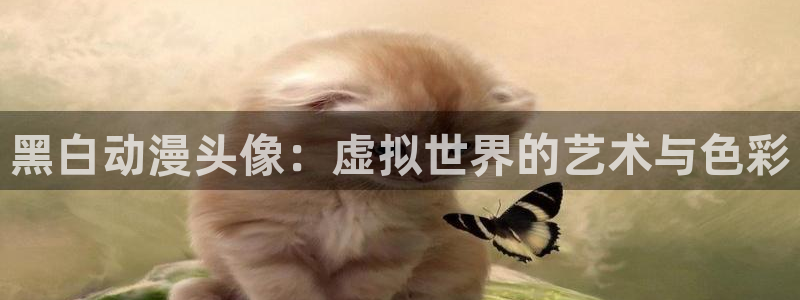 风车动漫免费观看在线播放：黑白动漫头像：虚拟世界的艺术与色彩