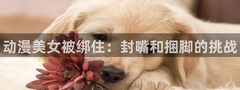 风车动漫 官方入门网站：动漫美女被绑住：封嘴和捆脚的挑战