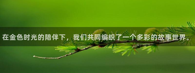 风车动漫你：在金色时光的陪伴下，我们共同编织了一个多彩的故事世界。