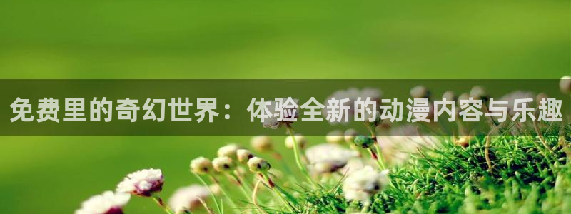风车动漫(p)_在线看