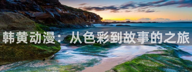 风车动漫0：韩黄动漫：从色彩到故事的之旅