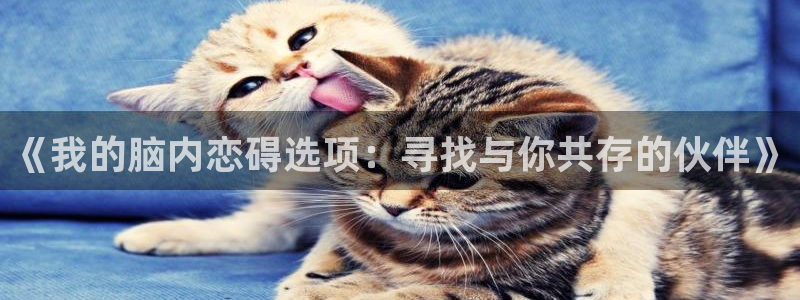 梅麻吕风车动漫：《我的脑内恋碍选项：寻找与你共存的伙伴》