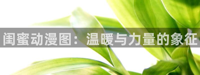 盾之勇者成名录风车动漫