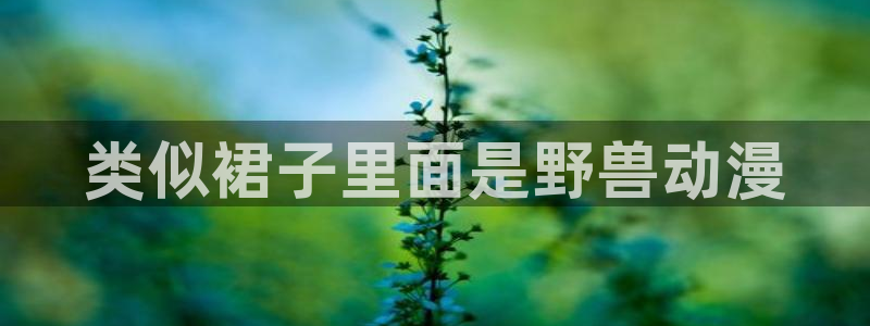 风车动漫网页官网：类似裙子里面是野兽动漫