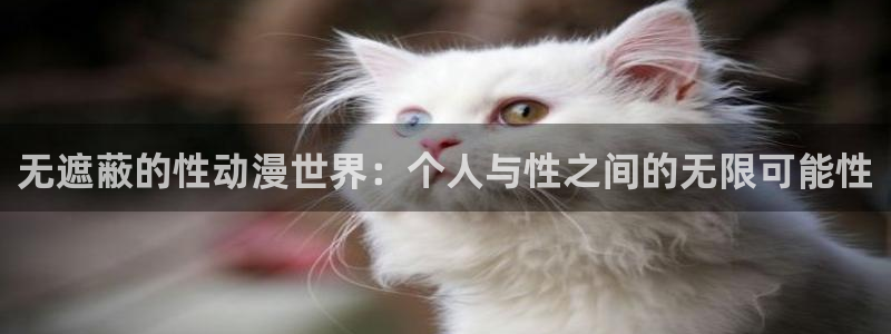 大风车动漫：无遮蔽的性动漫世界：个人与性之间的无限可能性