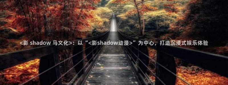 风车动漫未删减：<影 shadow 马文化>：以“<影shadow动漫>”为中心，打造沉浸式娱乐体验