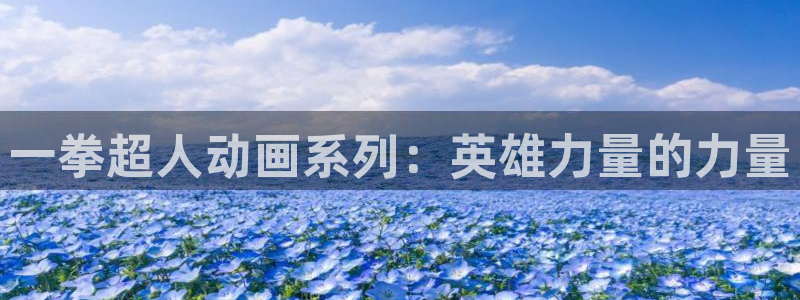 风车动漫网app下载：一拳超人动画系列：英雄力量的力量